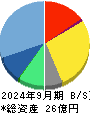 情報戦略テクノロジー 貸借対照表 2024年9月期