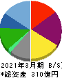 SRSホールディングス 貸借対照表 2021年3月期 SRSホールディングス 貸借対照表 2021年3月期