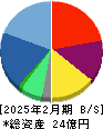 ＭＩＴホールディングス 貸借対照表 2025年2月期