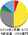 東京スタイル 貸借対照表 2010年2月期