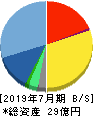 SYSホールディングス 貸借対照表 2019年7月期 SYSホールディングス 貸借対照表 2019年7月期