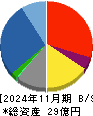 スターシーズ 貸借対照表 2024年11月期
