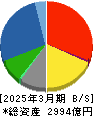 バイタルケーエスケー・ホールディングス 貸借対照表 2025年3月期