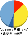 キャンバス 貸借対照表 2019年6月期 キャンバス 貸借対照表 2019年6月期