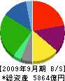 三菱レイヨン 貸借対照表 2009年9月期