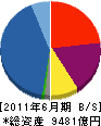 プロミス 貸借対照表 2011年6月期