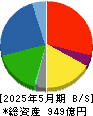 ＳＵＭＩＮＯＥ 貸借対照表 2025年5月期