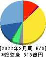 フルキャストホールディングス 貸借対照表 2022年9月期