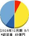 シンバイオ製薬 貸借対照表 2024年12月期