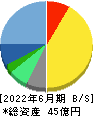 アイリックコーポレーション 貸借対照表 2022年6月期