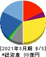 gooddaysホールディングス 貸借対照表 2021年3月期 gooddaysホールディングス 貸借対照表 2021年3月期