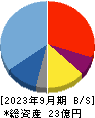 アクセスグループ・ホールディングス 貸借対照表 2023年9月期