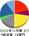 バーチャレクス・ホールディングス 貸借対照表 2022年12月期