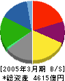 伊勢丹 貸借対照表 2005年3月期