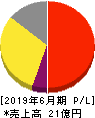 日本情報クリエイト 損益計算書 2019年6月期