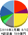 サンエー・インターナショナル 貸借対照表 2010年2月期