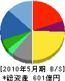 サンエー・インターナショナル 貸借対照表 2010年5月期