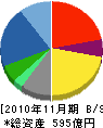 サンエー・インターナショナル 貸借対照表 2010年11月期