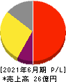 日本情報クリエイト 損益計算書 2021年6月期