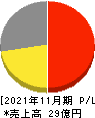 ティムコ 損益計算書 2021年11月期 ティムコ 損益計算書 2021年11月期