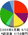 三菱レイヨン 貸借対照表 2009年6月期