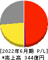 アイスタイル 損益計算書 2022年6月期 アイスタイル 損益計算書 2022年6月期