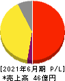 アイリックコーポレーション 損益計算書 2021年6月期