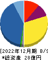 メディアリンクス 貸借対照表 2022年12月期