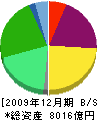 ジュピターテレコム 貸借対照表 2009年12月期 ジュピターテレコム 貸借対照表 2009年12月期