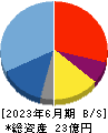 アクセスグループ・ホールディングス 貸借対照表 2023年6月期