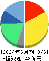 セルム 貸借対照表 2024年6月期