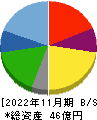 ＳＥＲＩＯホールディングス 貸借対照表 2022年11月期