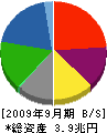 新日本石油 貸借対照表 2009年9月期