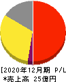 MRT 損益計算書 2020年12月期 MRT 損益計算書 2020年12月期