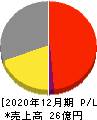 シリウスビジョン 損益計算書 2020年12月期 シリウスビジョン 損益計算書 2020年12月期