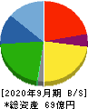 アサカ理研 貸借対照表 2020年9月期 アサカ理研 貸借対照表 2020年9月期