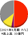 ココルポート 損益計算書 2021年6月期 ココルポート 損益計算書 2021年6月期