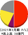 ギークス 損益計算書 2021年3月期 ギークス 損益計算書 2021年3月期