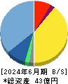 イノベーション 貸借対照表 2024年6月期 イノベーション 貸借対照表 2024年6月期