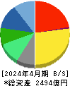 アインホールディングス 貸借対照表 2024年4月期