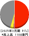SBIインシュアランスグループ 損益計算書 2025年3月期 SBIインシュアランスグループ 損益計算書 2025年3月期