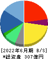 フォーバル 貸借対照表 2022年6月期