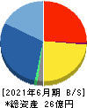 ベイシス 貸借対照表 2021年6月期 ベイシス 貸借対照表 2021年6月期
