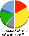 フライングガーデン 貸借対照表 2024年3月期 フライングガーデン 貸借対照表 2024年3月期