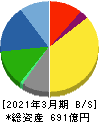 テイカ 貸借対照表 2021年3月期