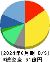 アイリックコーポレーション 貸借対照表 2024年6月期 アイリックコーポレーション 貸借対照表 2024年6月期