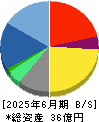 バーチャレクス・ホールディングス 貸借対照表 2025年6月期