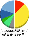 ブレインパッド 貸借対照表 2023年6月期 ブレインパッド 貸借対照表 2023年6月期