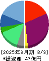 データホライゾン 貸借対照表 2025年6月期