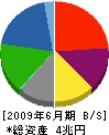 新日本石油 貸借対照表 2009年6月期